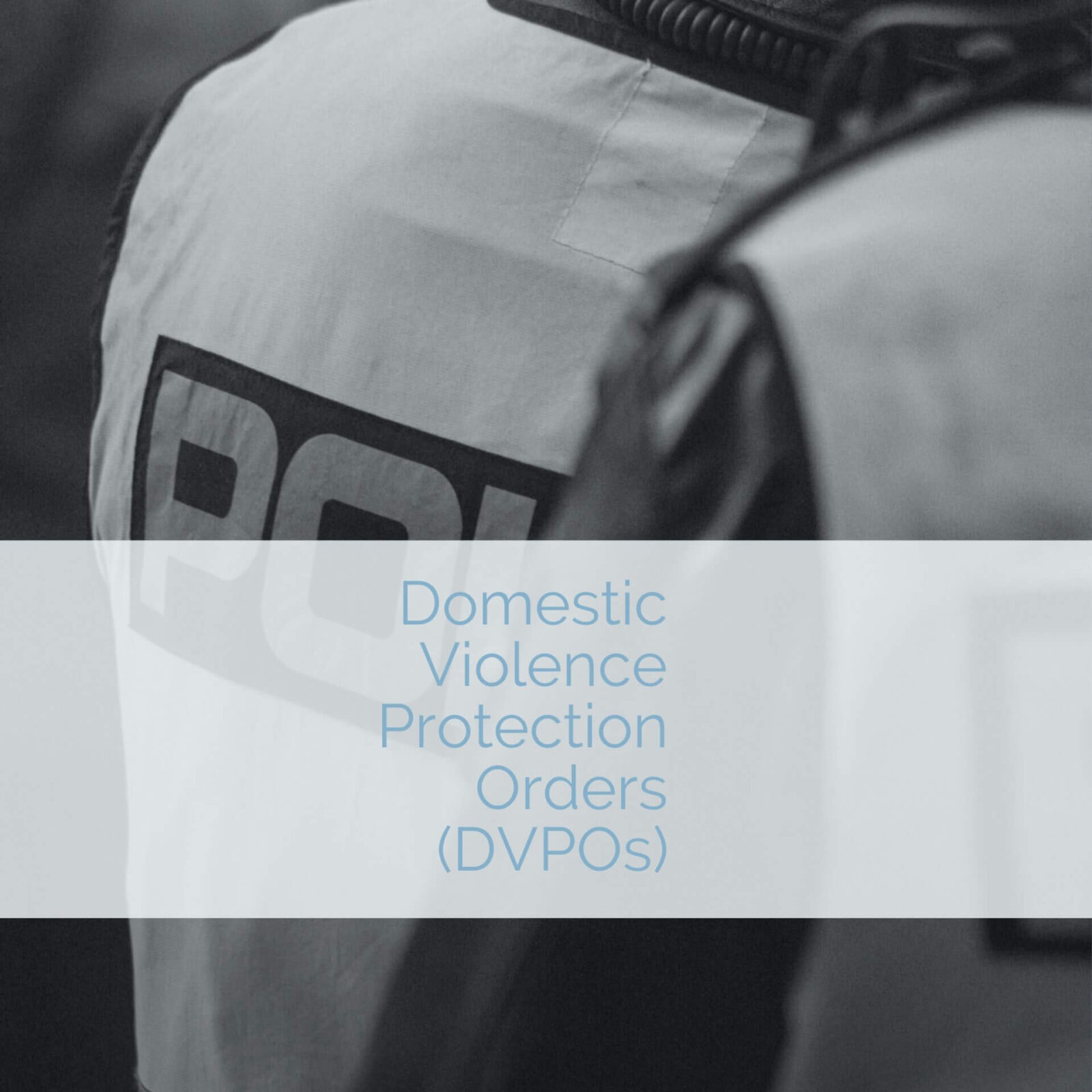 Domestic violence protection orders