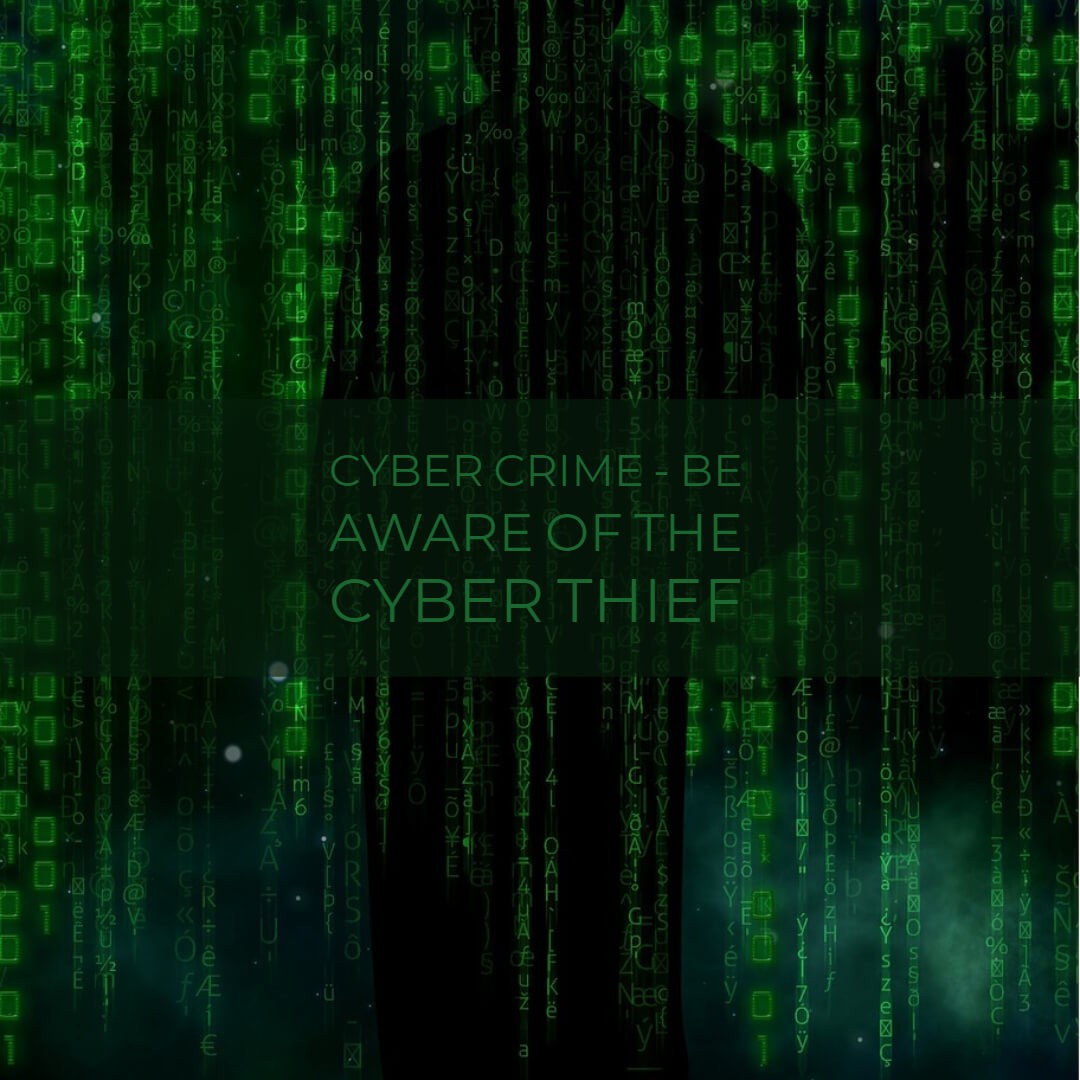 Cyber thief