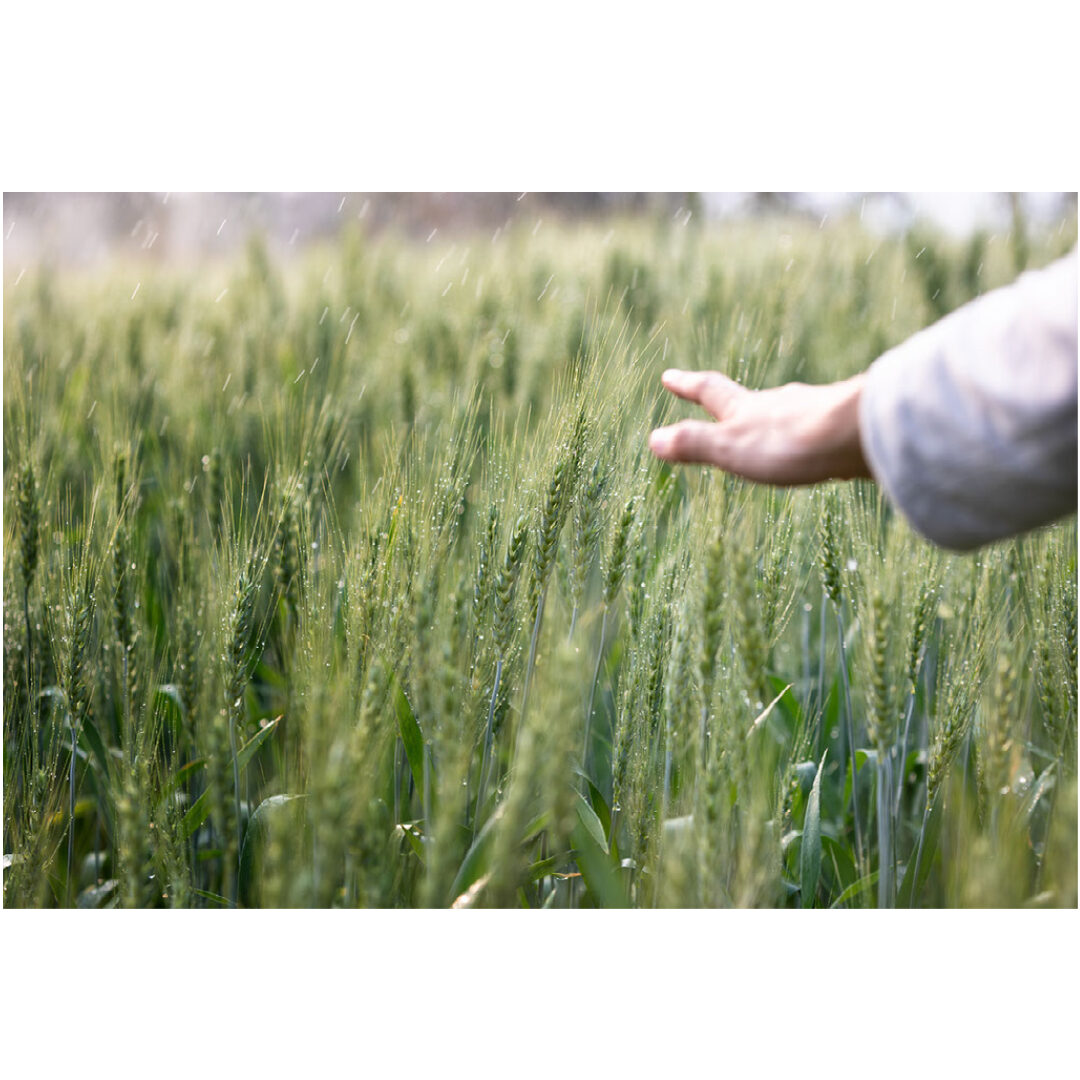 legal support for domestic abuse