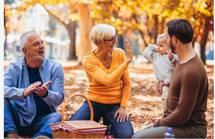 Rights for grandparents