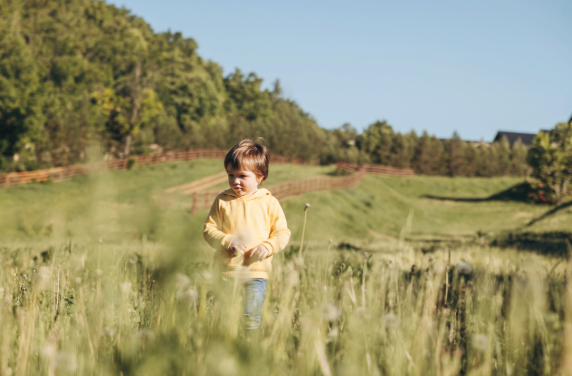 Family law Solicitors in Maidenhead