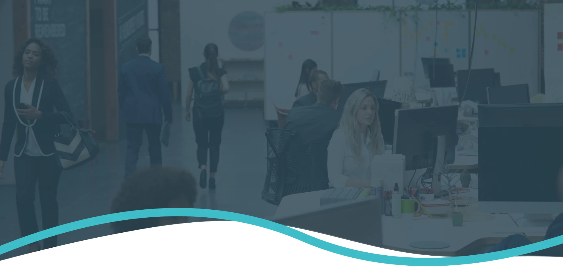 Solicitors in Solihull