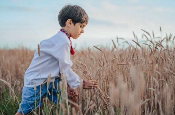 Child law solicitors in Romsey