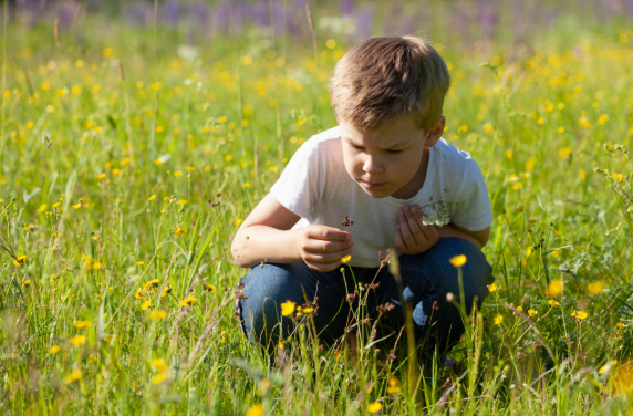 Child law solicitors in Waterlooville