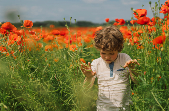 Child arrangements solicitor